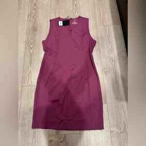 Peach Marin Princess Seam Dress in Plum